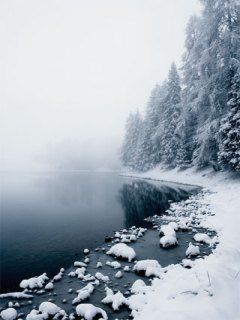 Paisaje Invernal