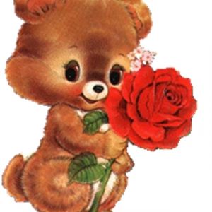 Osito Lindos con Rosa