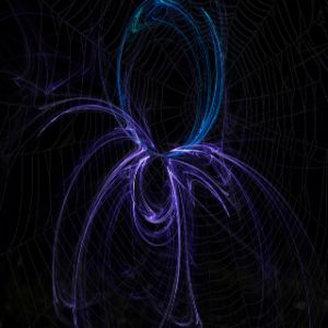 Telaraña Abstracta Colorida