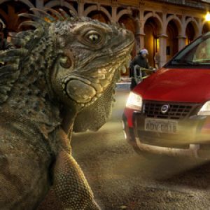 Iguana Gigante y Coche