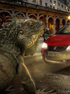 Iguana Gigante y Coche