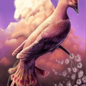 Pájaro Fantástico en Nubes