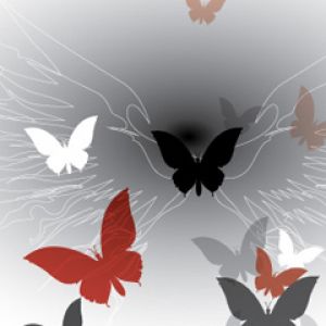 Arte de Mariposas y Alas