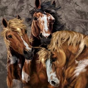 Retrato de Caballos Hermosos