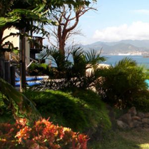 Paraíso Tropical