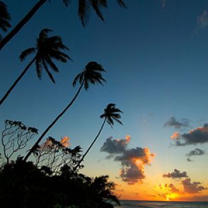 Atardecer Tropical con Palmeras