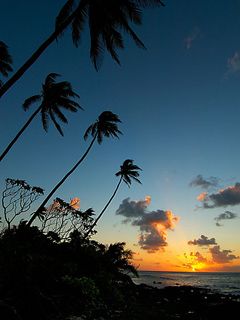 Atardecer Tropical con Palmeras