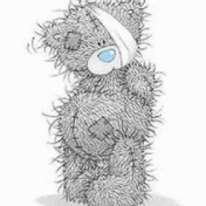 Teddy Bear Herido y Adorable