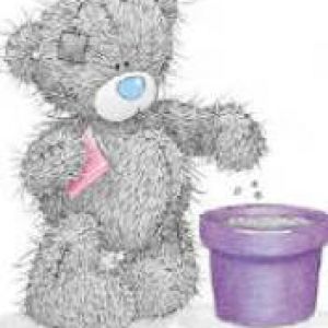 Tierno Oso Plantando
