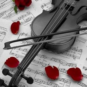 Violín con Rosas