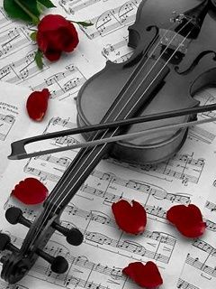 Violín con Rosas