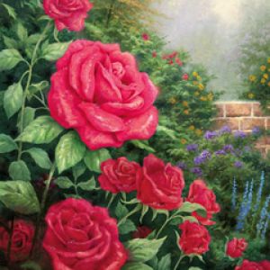 Hermosas Rosas Rojas en Flor