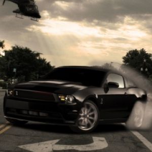 Mustang Negro en Acción