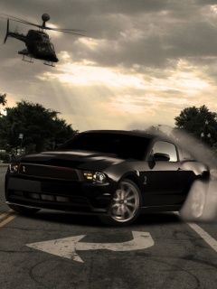 Mustang Negro en Acción