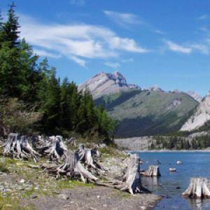 Lago de Montaña Sereno