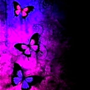 Mariposas Coloridas en Fondo Oscuro