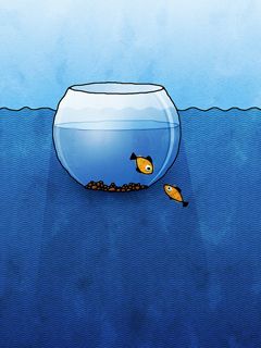 Peces Lindos en un Tazón