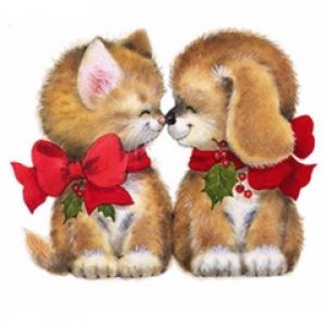 Gato y Perro Lindos en Navidad