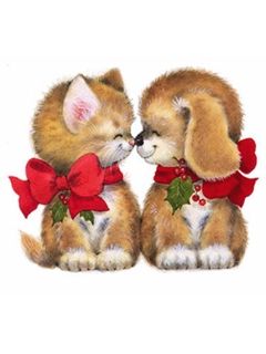 Gato y Perro Lindos en Navidad
