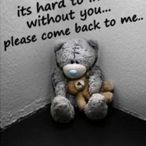 Teddy Bear Emocional con Cita