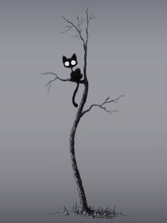 Gato Negro Bonito en un Árbol