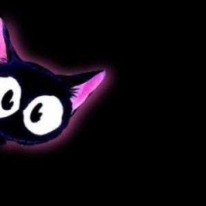 Gato Negro Bonito