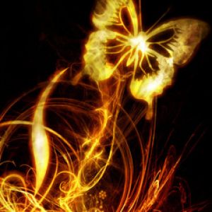 Arte de Mariposa Dorada