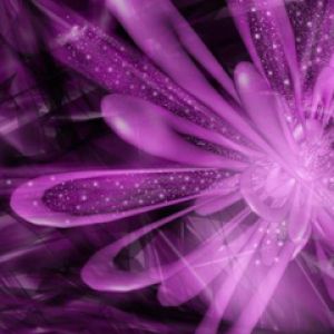 Diseño Abstracto de Flor Púrpura