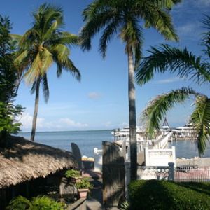 Paraíso Tropical con Palmeras