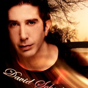 Retrato Artístico de David Schwimmer