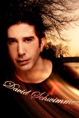 Retrato Artístico de David Schwimmer