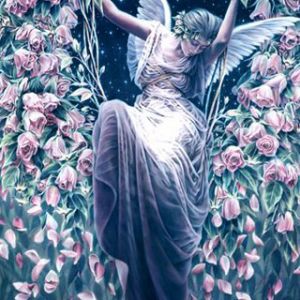 Ángel Entre Rosas