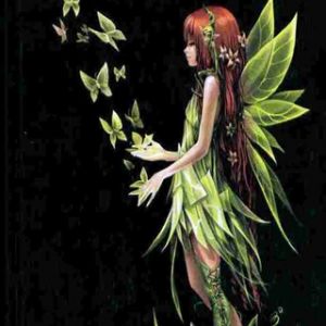 Hada Encantadora con Mariposas