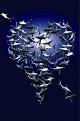Cardumen en forma de corazón
