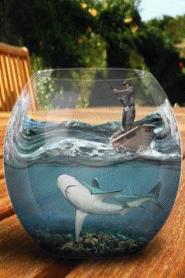 Pesca en un Océano de Vidrio