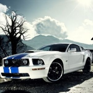 Mustang GT Blanco Estiloso