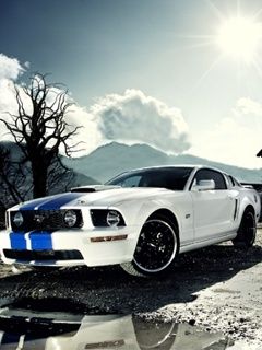 Mustang GT Blanco Estiloso