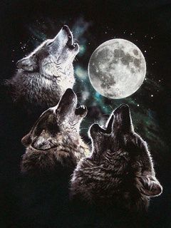 Lobos Aullando a la Luna
