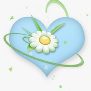 Corazón Azul con Margarita