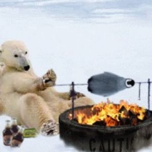 Oso Polar Cocinando Junto al Fuego