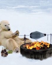 Oso Polar Cocinando Junto al Fuego