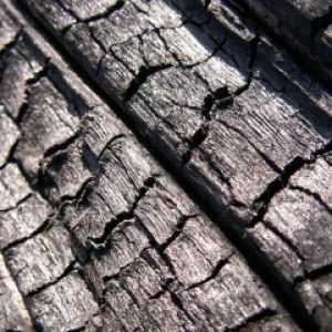 Madera Carbonizada Texturizada