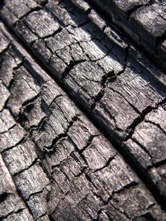 Madera Carbonizada Texturizada