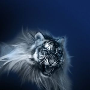 Majestuoso Tigre Blanco