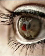 Reflejo de Corazón en el Ojo