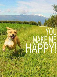 Perro Feliz Corriendo