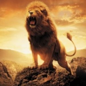 León Majestuoso Rugiendo