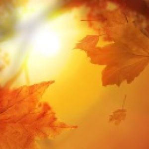 Hojas de Otoño en el Atardecer