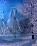 Majestuosos Caballos Blancos en Invierno
