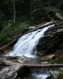 Cascada Serena en el Bosque